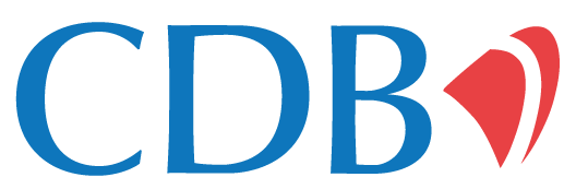 BYD Logo